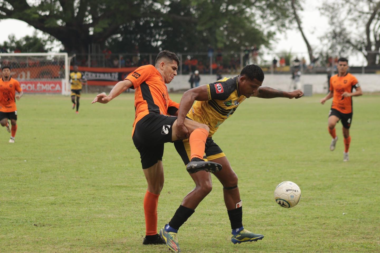 Águila saca un punto del Toledo valle de Zacatecoluca.
