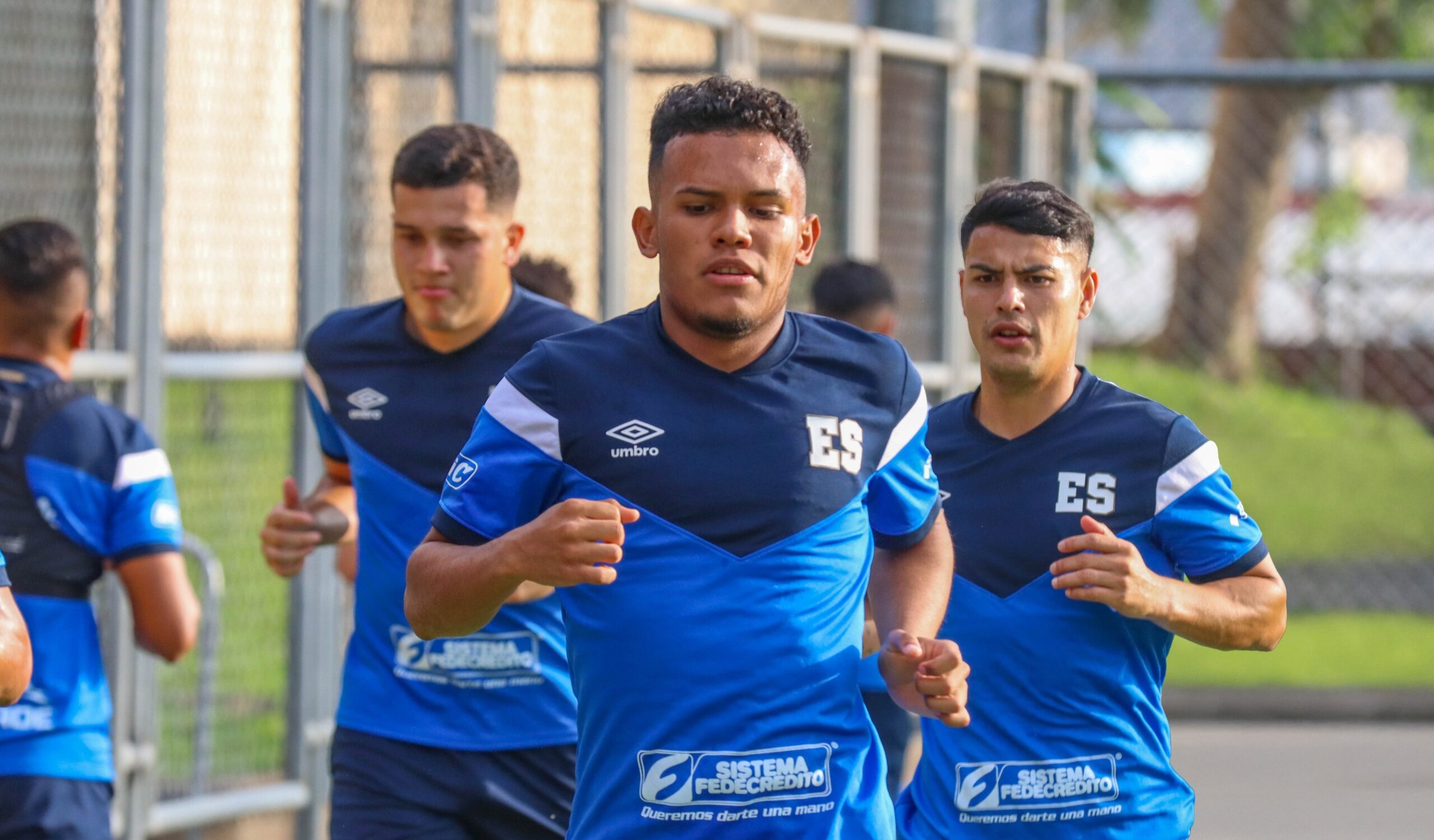 Primera División facilitará jugadores para los microciclos de la Selecta